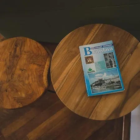 A Cosy In The Centre * Bratislava